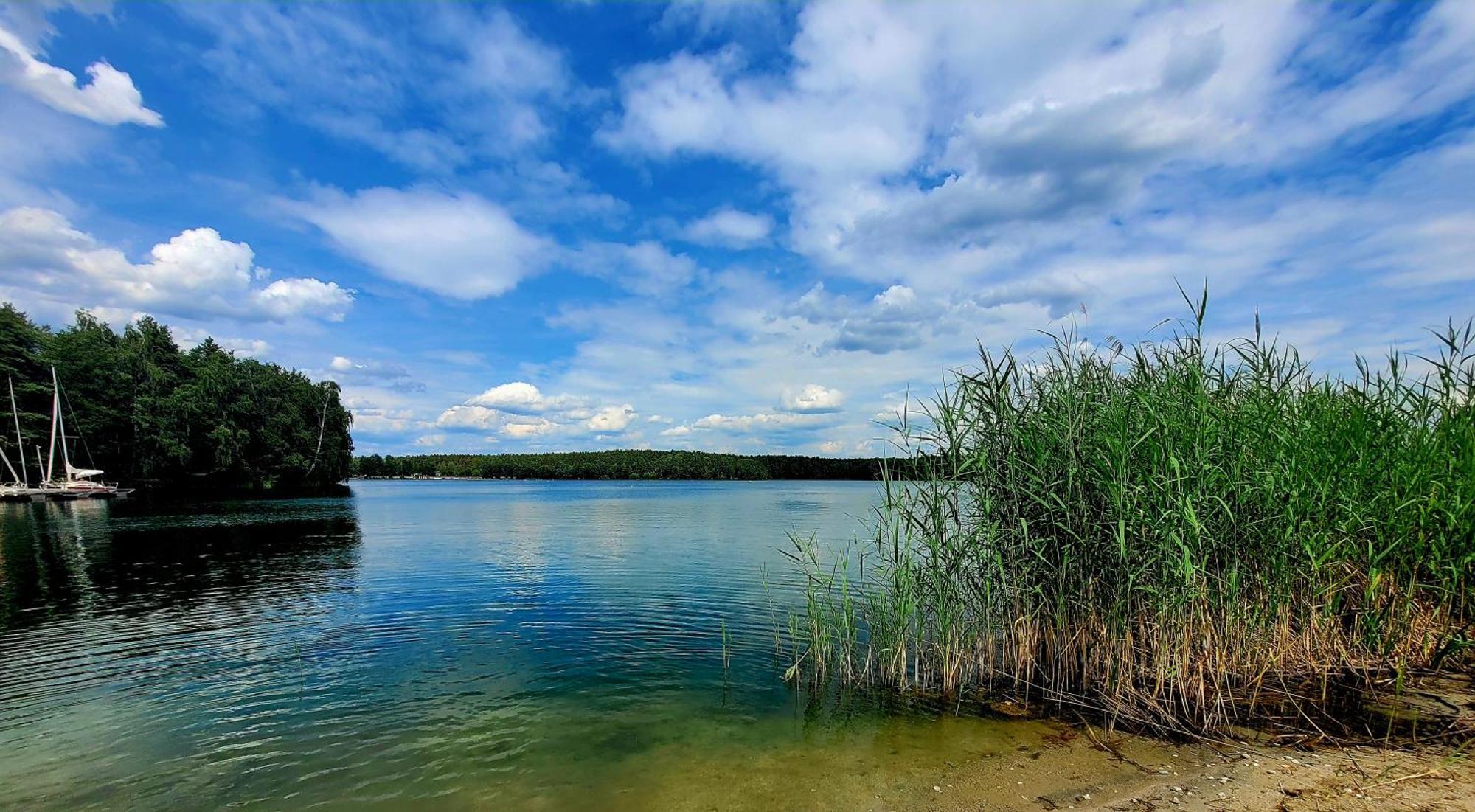 שוואנדורף אין ביירן Ferienwohnung Seeglueck Im Oberpfaelzer Seenland מראה חיצוני תמונה